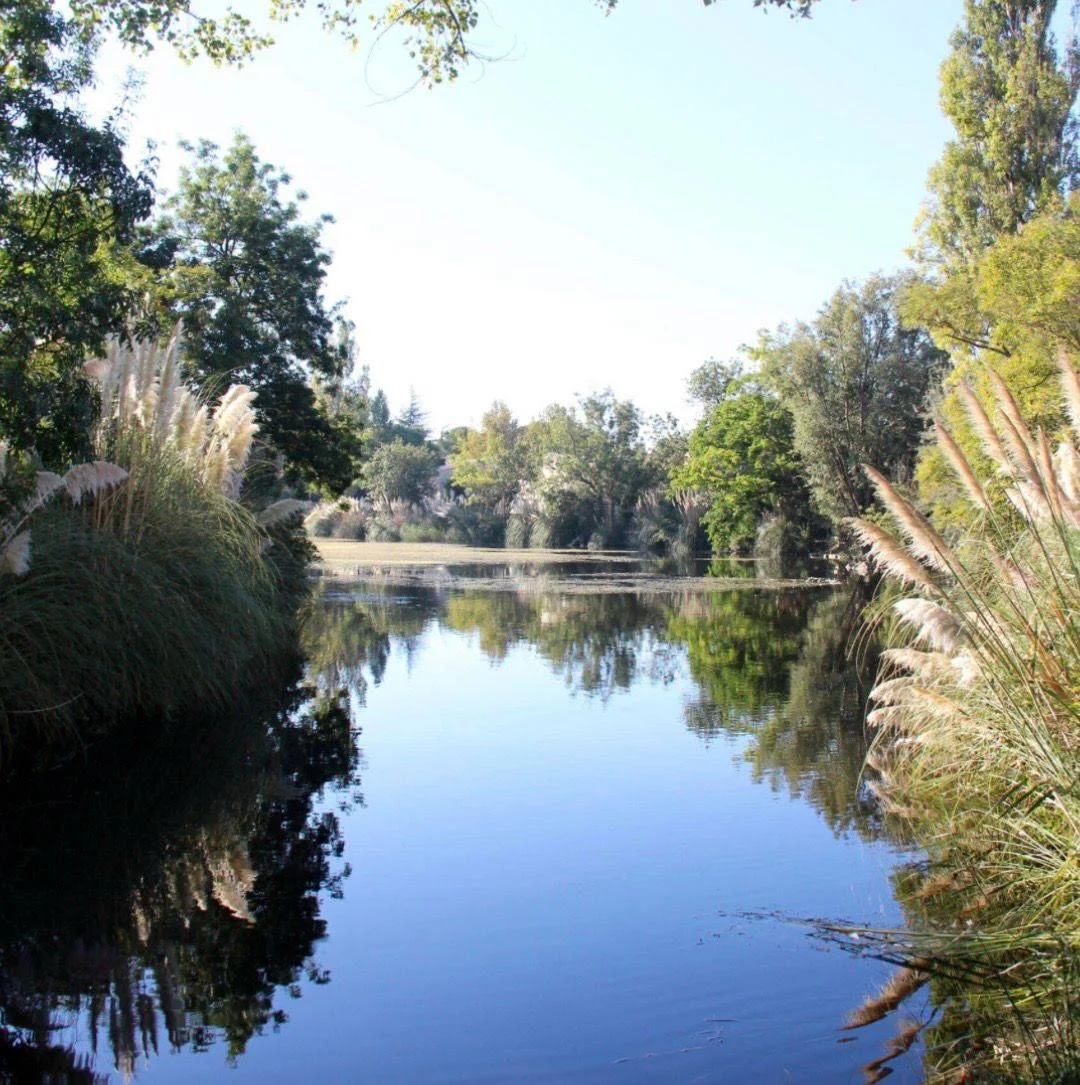 Rivière bordée de roseaux aux alentours